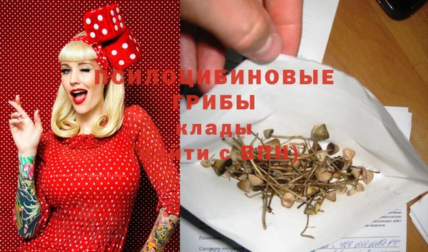 кокс Богородск